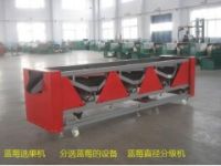 供應(yīng)藍(lán)莓選果機(jī)/國內(nèi)藍(lán)莓選果機(jī)生產(chǎn)廠家/價(jià)格