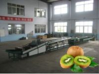 供應(yīng)獼猴桃選果機/獼猴桃脫毛去雜質(zhì)選果機/選果機廠家