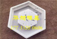 模具 (320)