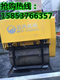 單輪壓路機17_副本