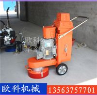 31 300地面打磨機(jī)-5