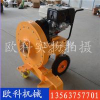 復(fù)件 48 路面吹風機實物圖6.6