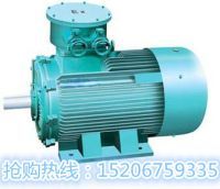 YBB電機(jī)_副本