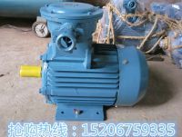 YB2電動機_副本