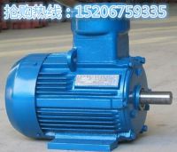 YBK2防爆電機_副本