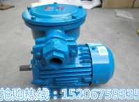 YB電機_副本