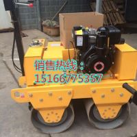 手扶式雙輪壓路機 (3)