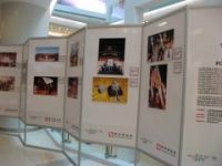 六棱柱 六角柱報(bào)價(jià) 廣西三角形屏風(fēng)報(bào)價(jià)