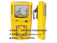 BW復(fù)合氣體檢測(cè)儀