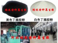 丁腈膠粉|丁腈膠粉價(jià)格