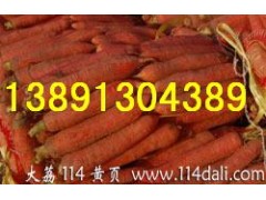 陕西红萝卜产地|陕西胡萝卜批发|陕西萝卜基地|胡萝卜价格