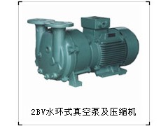 专业生产2BV系列水环真空泵—淄博博山天体真空设备有限公司