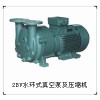 专业生产2BV系列水环真空泵—淄博博山天体真空设备有限公司