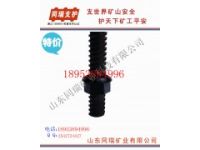 山東供應(yīng)右旋錨桿