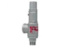 臺(tái)灣FGX-SSS全量式安全閥