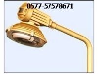 免維護節(jié)能防爆道路燈SBR1120