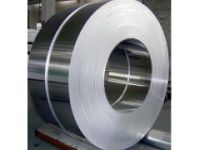 批發(fā)不銹鋼彈簧帶