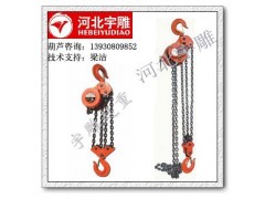 20吨环链电动葫芦8根链条|DHP-20型群吊葫芦安全系数高