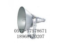 NTC9200防震型超強(qiáng)投光燈  NTC9200