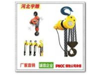 群吊環(huán)鏈電動(dòng)提升機(jī)出口訂做|60HZ環(huán)鏈電動(dòng)葫蘆