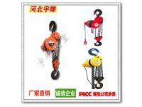 10噸低速鏈條電動葫蘆|幾十臺群吊電動葫蘆