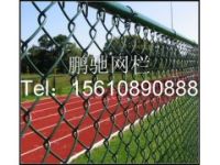 勾花網(wǎng) 包塑勾花網(wǎng) 山西臨汾勾花網(wǎng) 安徽馬鞍山包塑勾花網(wǎng)