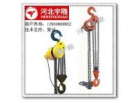 建筑環(huán)鏈電動葫蘆廠家承諾品質(zhì)保證價格優(yōu)惠