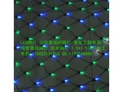 专业生产LED网灯厂家/春节彩灯制造LED网灯系列