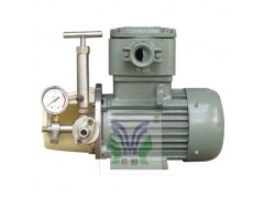 微型高压电动试压泵