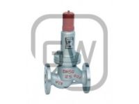 AHN42F-P25平行式安全回流閥