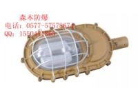 SBD1101-YQL50防爆燈/ SBD1101
