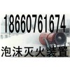 贵州BGP-200高泡灭火装置
