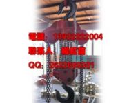 10噸電動(dòng)葫蘆|10噸環(huán)鏈電動(dòng)葫蘆|10噸鏈條電動(dòng)葫蘆
