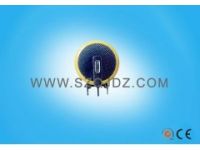 CR2450-HE鋰電池帶焊腳