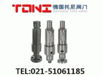 進(jìn)口安全溢流閥
