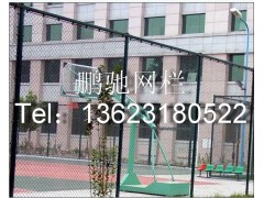 篮球场隔离网-篮球场围栏网 包塑围网 贵州铜仁体育场护栏