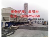 供應(yīng)二灰拌合站漿片葉片