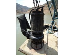 潜水煤泥泵  高效煤泥泵 煤泥泵厂家报价