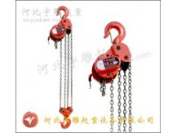 同步慢速电动葫芦-大型设备专用多吊点电动葫芦