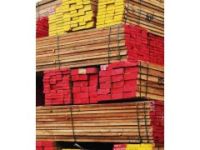 供應(yīng)柳桉木_柳桉木現(xiàn)貨_柳桉木庫(kù)存_柳桉木加工_柳桉木廠家