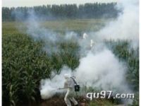 廠家直銷高效殺蟲滅蚊機(jī) 風(fēng)靡全球先進(jìn)消毒機(jī)