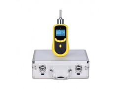 泵吸式氢气检测仪(测微量） DSA2000-H2