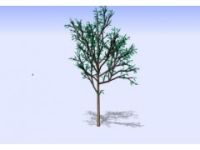 承接三維工程三維掃描—林業(yè)中應(yīng)用