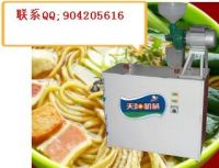 新款哈爾濱玉米馇條機，湯條機，叉子面機，包技術