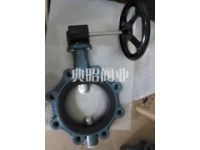 德國(guó)EBRO支耳式蝶閥Z014-A