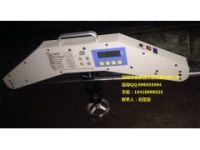 JXSL-100KN繩索拉力測量儀