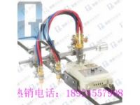 廠家供應(yīng)雙割炬火焰切割機丨雙割嘴火焰切割機報價