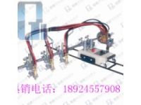 廠家供應(yīng)GCD3-100多頭直條切割機(jī)丨多頭切割機(jī)配件價(jià)格