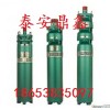 QS15-7-0.55充水式潜水电泵