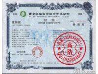 北京雕刻技術(shù)防偽股權(quán)證書印刷 安全線水印紙防偽股權(quán)證書定制